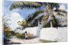 A Garden in Nassau by Winslow Homer