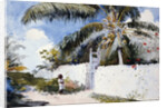 A Garden in Nassau by Winslow Homer