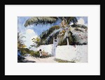 A Garden in Nassau by Winslow Homer