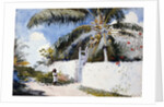 A Garden in Nassau by Winslow Homer