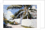 A Garden in Nassau by Winslow Homer