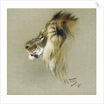 A Lion's Head by Richard Friese