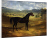 Jack Spigot, a Dark Bay Racehorse in a Paddock at Bolton Hall by John Frederick Herring Sr.
