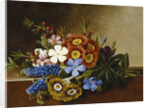 Periwinkle, Auricula and Grape Hyacinths on a Marble Ledge by Johan Laurentz Jensen
