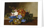 Periwinkle, Auricula and Grape Hyacinths on a Marble Ledge by Johan Laurentz Jensen