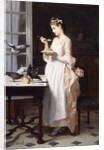 Feeding the Pigeons by Joseph Caraud