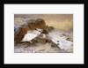 Ptarmigan in the Snow by Archibald Thorburn