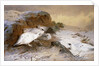 Ptarmigan in the Snow by Archibald Thorburn
