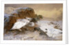 Ptarmigan in the Snow by Archibald Thorburn