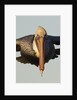 Brown Pelican headon view in flight closeup by Anonymous