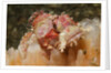 Papuan Scorpionfish by Anonymous