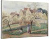 Plum Trees in Blossom by Camillle Pissarro