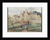 Plum Trees in Blossom by Camillle Pissarro