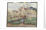 Plum Trees in Blossom by Camillle Pissarro