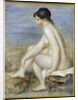 A Seated Bather by Pierre-Auguste Renoir