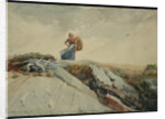 Down the Cliff by Winslow Homer