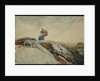 Down the Cliff by Winslow Homer