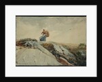 Down the Cliff by Winslow Homer