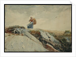 Down the Cliff by Winslow Homer