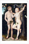 Adam and Eve by Lucas Cranach the Elder