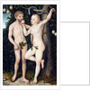 Adam and Eve by Lucas Cranach the Elder