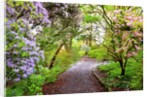 Spring flowers in Crystal Springs Rhododendron Garden, Portland, Oregon, USA by Anonymous