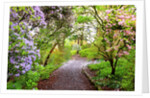 Spring flowers in Crystal Springs Rhododendron Garden, Portland, Oregon, USA by Anonymous