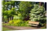 Spring in Crystal Springs Rhododendron Garden, Portland, Oregon, USA by Anonymous