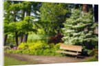 Spring in Crystal Springs Rhododendron Garden, Portland, Oregon, USA by Anonymous