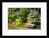 Spring in Crystal Springs Rhododendron Garden, Portland, Oregon, USA by Anonymous