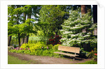 Spring in Crystal Springs Rhododendron Garden, Portland, Oregon, USA by Anonymous