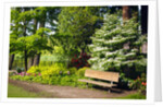 Spring in Crystal Springs Rhododendron Garden, Portland, Oregon, USA by Anonymous