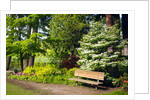 Spring in Crystal Springs Rhododendron Garden, Portland, Oregon, USA by Anonymous