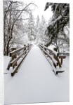 Footbridge covered in snow, Silver Falls State Park, Oregon, USA by Anonymous