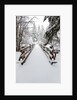 Footbridge covered in snow, Silver Falls State Park, Oregon, USA by Anonymous