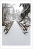 Footbridge covered in snow, Silver Falls State Park, Oregon, USA by Anonymous