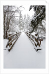 Footbridge covered in snow, Silver Falls State Park, Oregon, USA by Anonymous