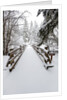 Footbridge covered in snow, Silver Falls State Park, Oregon, USA by Anonymous