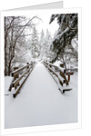 Footbridge covered in snow, Silver Falls State Park, Oregon, USA by Anonymous