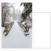Footbridge covered in snow, Silver Falls State Park, Oregon, USA by Anonymous