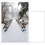 Footbridge covered in snow, Silver Falls State Park, Oregon, USA by Anonymous