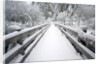Footbridge covered in snow, Silver Falls State Park, Oregon, USA by Anonymous