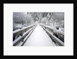 Footbridge covered in snow, Silver Falls State Park, Oregon, USA by Anonymous