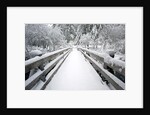 Footbridge covered in snow, Silver Falls State Park, Oregon, USA by Corbis