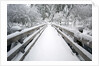 Footbridge covered in snow, Silver Falls State Park, Oregon, USA by Corbis