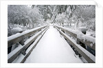 Footbridge covered in snow, Silver Falls State Park, Oregon, USA by Corbis