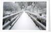 Footbridge covered in snow, Silver Falls State Park, Oregon, USA by Corbis