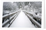 Footbridge covered in snow, Silver Falls State Park, Oregon, USA by Corbis