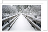 Footbridge covered in snow, Silver Falls State Park, Oregon, USA by Corbis