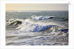 Winter storm waves crash on headline at Shore Aceres State Park, Oregon, USA by Anonymous
